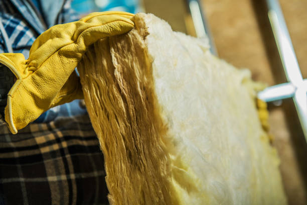 Best Energy-efficient Insulation  in Sparta, IL