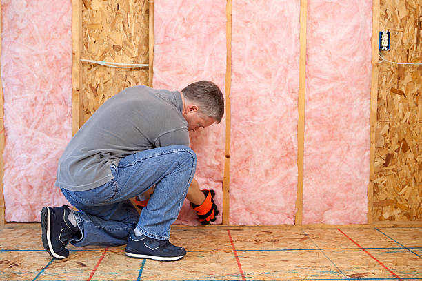 Best Blown-in Insulation  in Sparta, IL
