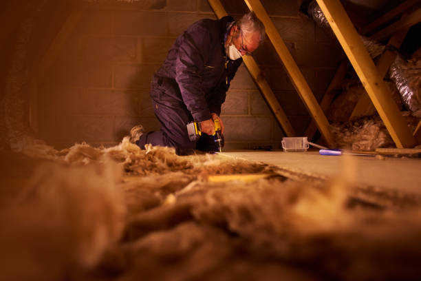Best Insulation Contractors for Homes  in Sparta, IL