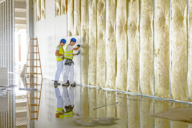 Best Insulation Contractor Near Me  in Sparta, IL